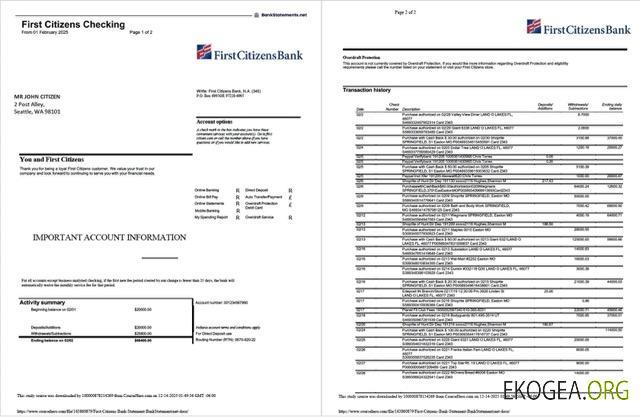 Modèle Word et PDF de relevé de la USA First Citizens Bank, 2 pages